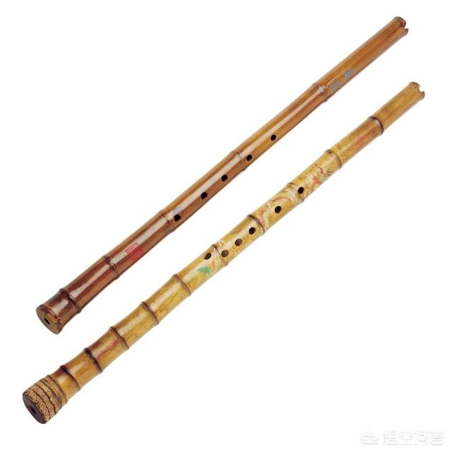 女生学什么乐器好，女孩学什么乐器比较好（女孩子、初学者适合的乐器）