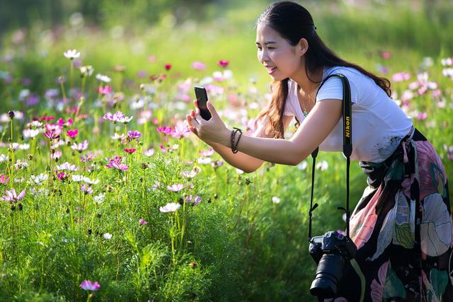 洛桑花的功效，马桑花有什么功效（它具清热、利尿、催吐、消炎、止痛的功效）