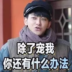 flag是什么梗，flag什么意思（历史上著名的flag梗）