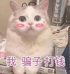 flag是什么梗，flag什么意思（历史上著名的flag梗）