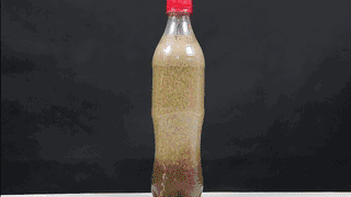 牛奶和可乐隔多久能一起喝吗，看完这个实验会让你吓一跳