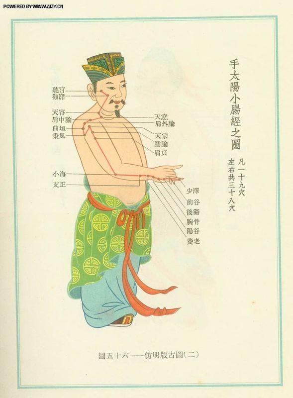 脚背经络图解大图，脚背的部位高清图解（按摩艾灸、拔罐刮痧都用得到）