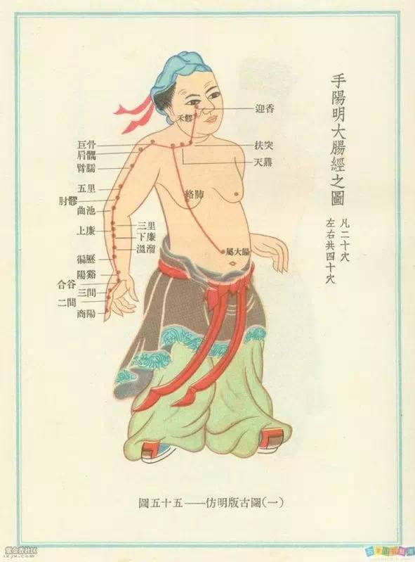 脚背经络图解大图，脚背的部位高清图解（按摩艾灸、拔罐刮痧都用得到）