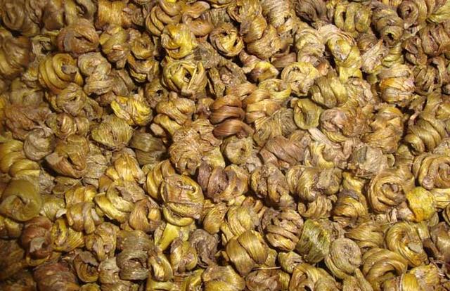 金钗石斛多少钱一斤，野生金钗石斛几万一斤（教你金钗石斛的鉴别方法）