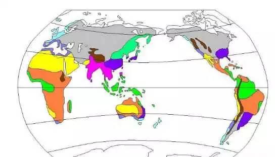关于气候型介绍，气候类型及气候特点（世界主要气候类型的分布和特点）