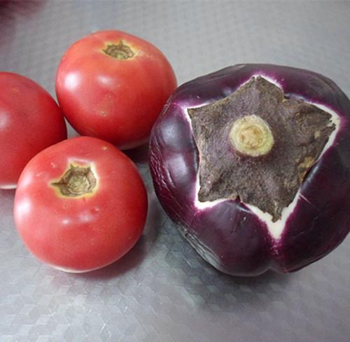 西红柿炒茄子，西红柿炒茄子先放西红柿还是茄子（西红柿炒茄子是哪里的菜）