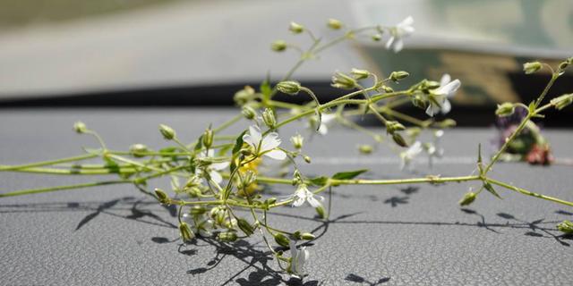 最打动女朋友的真心话，给女朋友最真诚的话（挽回女友的话感动到哭）