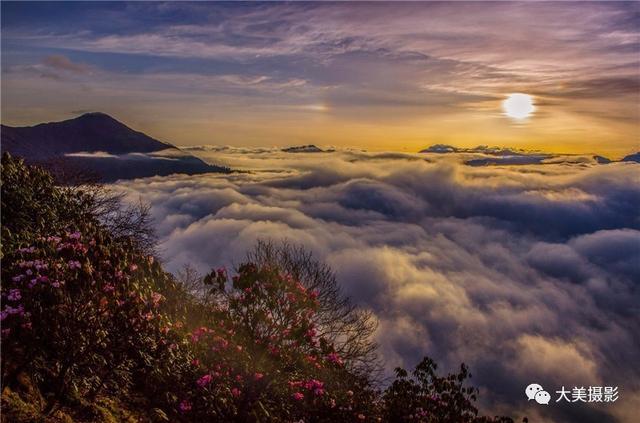 我愿为你电牛子网名，我愿为你电牛子微信昵称（“大美平武”全国摄影大赛获奖作品公布）