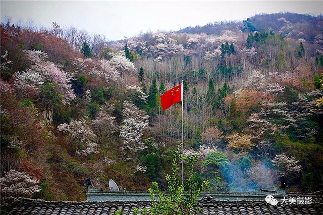 我愿为你电牛子网名，我愿为你电牛子微信昵称（“大美平武”全国摄影大赛获奖作品公布）