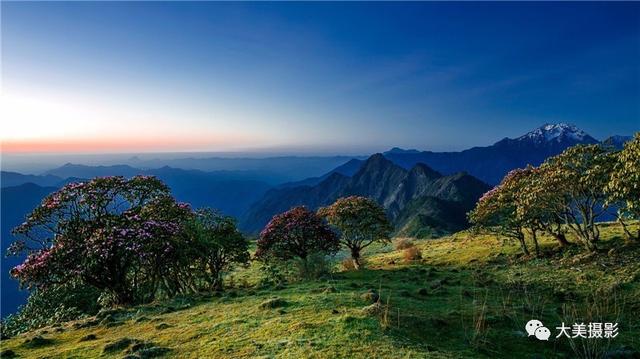 我愿为你电牛子网名，我愿为你电牛子微信昵称（“大美平武”全国摄影大赛获奖作品公布）