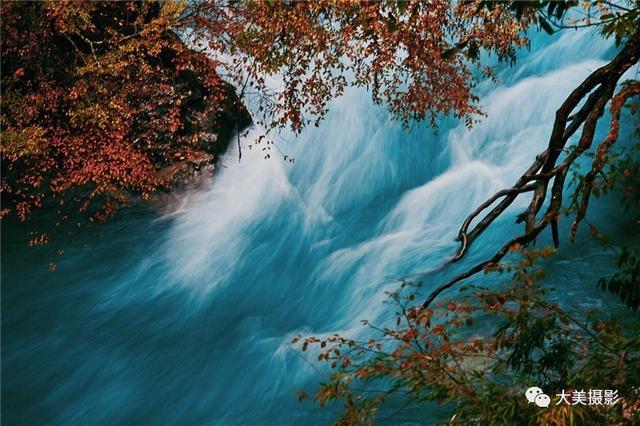 我愿为你电牛子网名，我愿为你电牛子微信昵称（“大美平武”全国摄影大赛获奖作品公布）