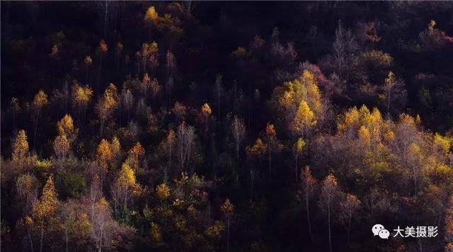 我愿为你电牛子网名，我愿为你电牛子微信昵称（“大美平武”全国摄影大赛获奖作品公布）