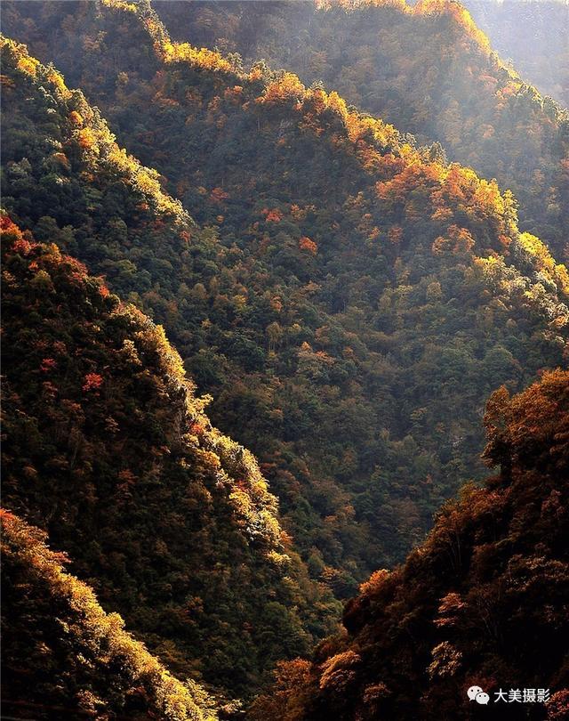 我愿为你电牛子网名，我愿为你电牛子微信昵称（“大美平武”全国摄影大赛获奖作品公布）