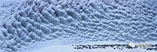 我愿为你电牛子网名，我愿为你电牛子微信昵称（“大美平武”全国摄影大赛获奖作品公布）