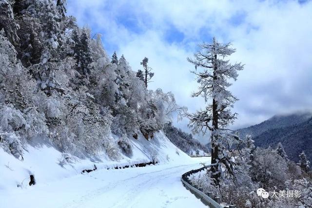 我愿为你电牛子网名，我愿为你电牛子微信昵称（“大美平武”全国摄影大赛获奖作品公布）