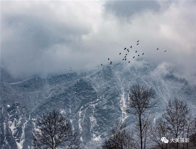 我愿为你电牛子网名，我愿为你电牛子微信昵称（“大美平武”全国摄影大赛获奖作品公布）