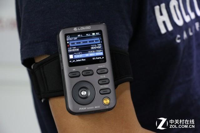 要抱抱菊花版，要抱抱菊花版歌曲歌词（乐图PAW5000）