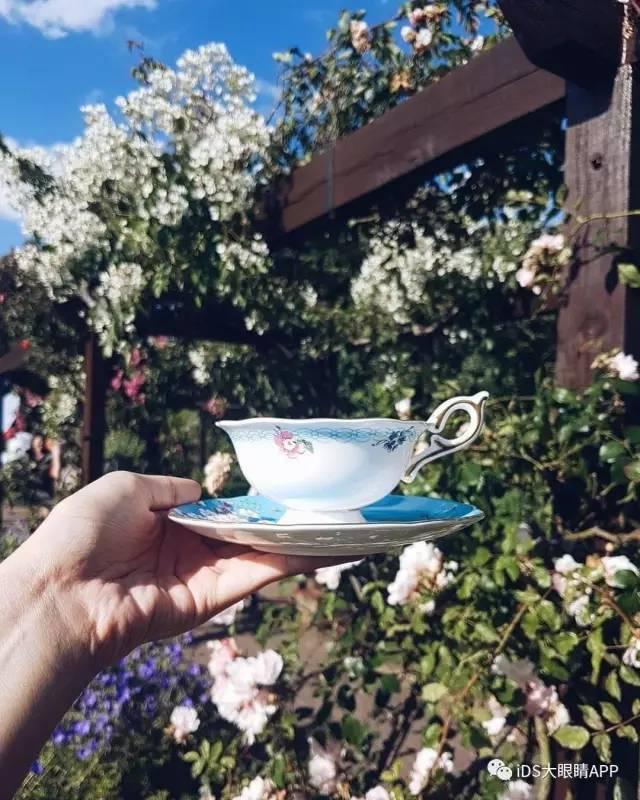 温居适合送什么礼物，温居送什么礼物好（温新居送什么才能体现出你的品味）