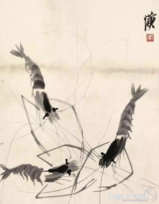 牡丹虾和甜虾的区别，牡丹虾和甜虾的区别有哪些（虾类有几千种，你又认识几种）