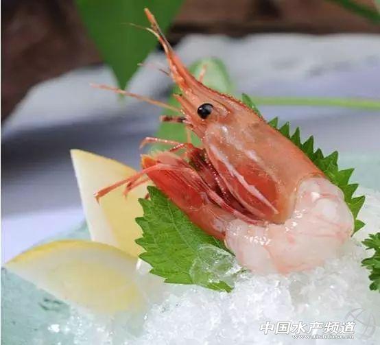 牡丹虾和甜虾的区别，牡丹虾和甜虾的区别有哪些（虾类有几千种，你又认识几种）