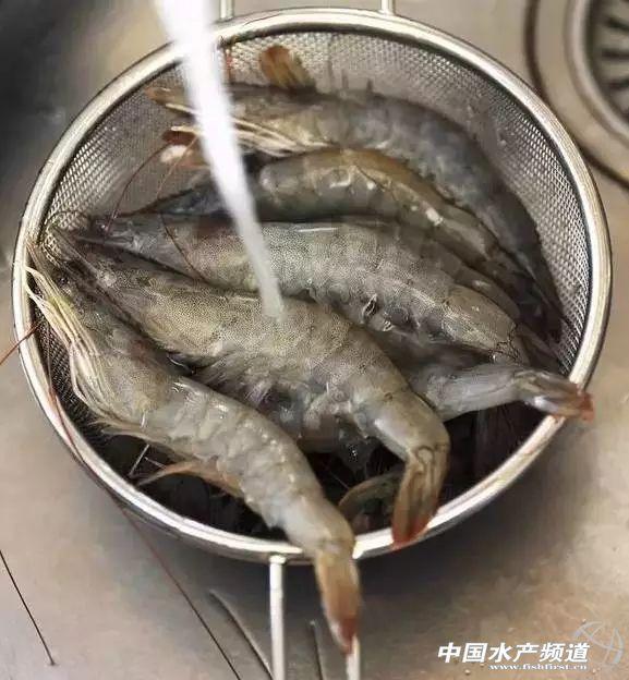 牡丹虾和甜虾的区别，牡丹虾和甜虾的区别有哪些（虾类有几千种，你又认识几种）