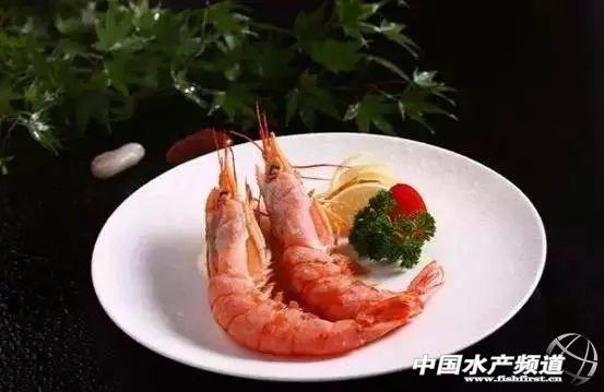 牡丹虾和甜虾的区别，牡丹虾和甜虾的区别有哪些（虾类有几千种，你又认识几种）