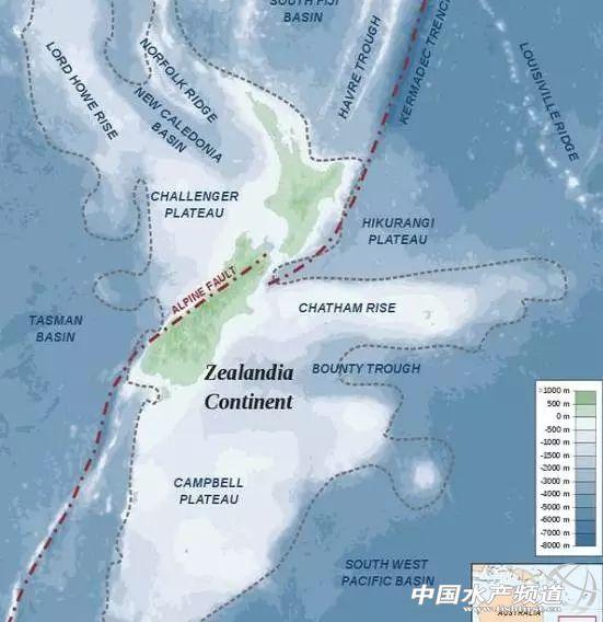 牡丹虾和甜虾的区别，牡丹虾和甜虾的区别有哪些（虾类有几千种，你又认识几种）