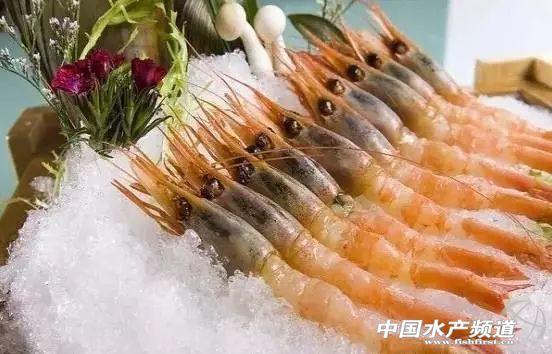 牡丹虾和甜虾的区别，牡丹虾和甜虾的区别有哪些（虾类有几千种，你又认识几种）