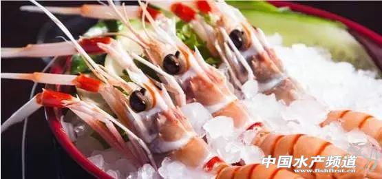 牡丹虾和甜虾的区别，牡丹虾和甜虾的区别有哪些（虾类有几千种，你又认识几种）