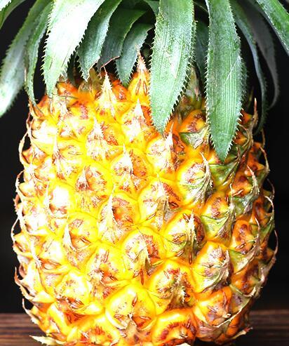 吃菠萝有什么好处及副作用，菠萝吃多了有什么坏处