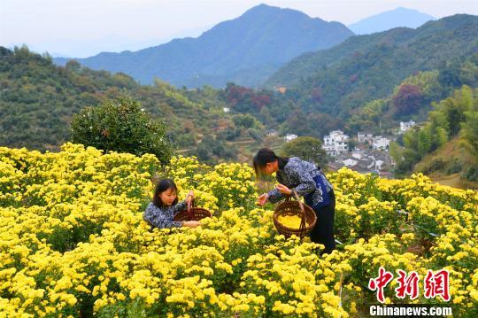 婺源在哪里，婺源在哪里属于哪个城市（“最美乡村”江西婺源）