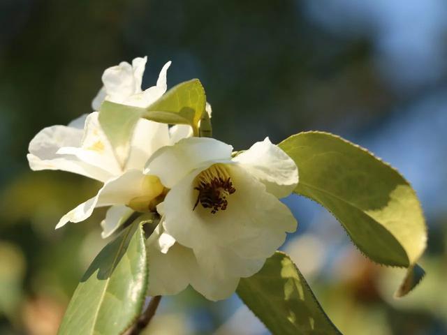 浙江省金华十大特产有哪些，金华特产小吃（最能代表你家乡的“土货”是啥）