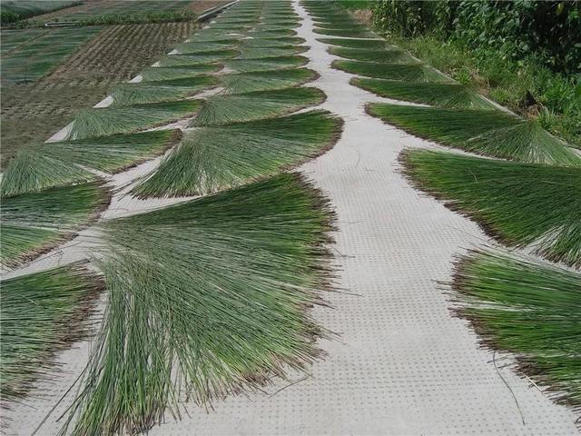 浙江省金华十大特产有哪些，金华特产小吃（最能代表你家乡的“土货”是啥）