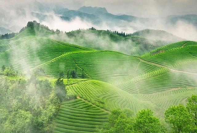 浙江省金华十大特产有哪些，金华特产小吃（最能代表你家乡的“土货”是啥）