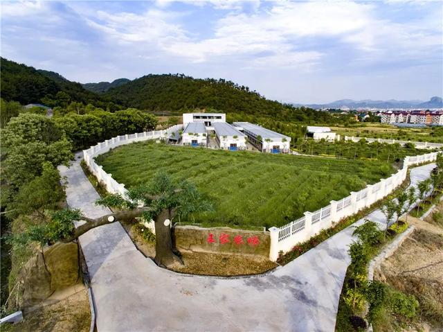 浙江省金华十大特产有哪些，金华特产小吃（最能代表你家乡的“土货”是啥）