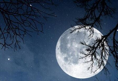 白月光什么意思，白月光是什么梗（白月光一词出自哪里）