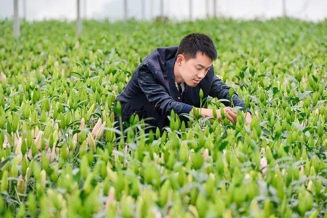 浙江省金华十大特产有哪些，金华特产小吃（最能代表你家乡的“土货”是啥）