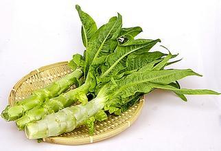 莴笋的叶子可以吃吗，莴笋叶子能吃吗（莴笋的叶子能吃吗）