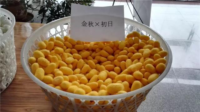 浙江省金华十大特产有哪些，金华特产小吃（最能代表你家乡的“土货”是啥）