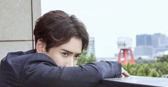 山河恋所有演员表，山河恋演员表（严世蕃扮演者韩栋个人资料介绍）