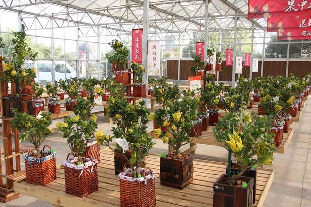 浙江省金华十大特产有哪些，金华特产小吃（最能代表你家乡的“土货”是啥）