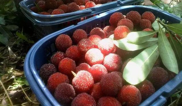 浙江省金华十大特产有哪些，金华特产小吃（最能代表你家乡的“土货”是啥）