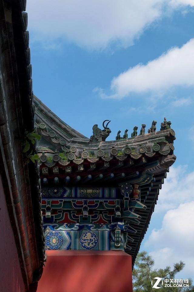 女生说ttl是什么意思啊，ttl是什么意思（双十一3000预算如何选）