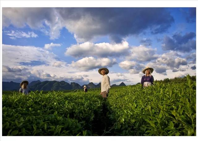 浙江省金华十大特产有哪些，金华特产小吃（最能代表你家乡的“土货”是啥）