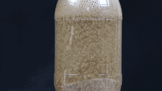 牛奶和可乐隔多久能一起喝吗，看完这个实验会让你吓一跳