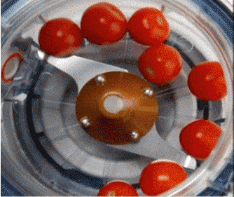 榨汁机什么牌子好，榨汁机哪个牌子好（6000多的真的比100多的好吗）