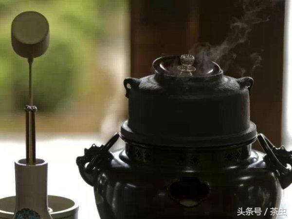 绿茶减肥法，哪种减肥茶最快最有效（正确的喝茶也可以变瘦）