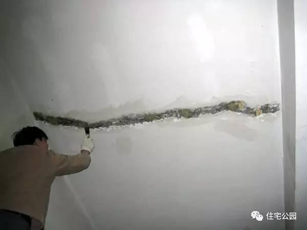 顶楼漏水怎么办，顶楼漏水怎么办装修公司（你家屋顶也可以种花、养鱼）