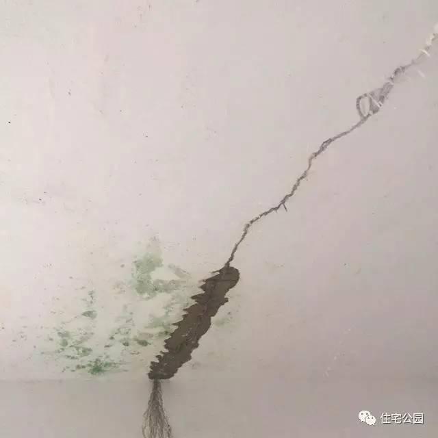 顶楼漏水怎么办，顶楼漏水怎么办装修公司（你家屋顶也可以种花、养鱼）
