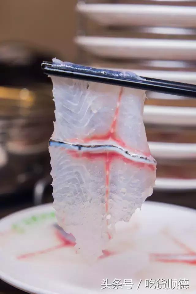 斑鱼火锅是什么鱼，斑鱼火锅的鱼是什么鱼（风靡深莞的斑鱼火锅现已驾临顺德乐从）